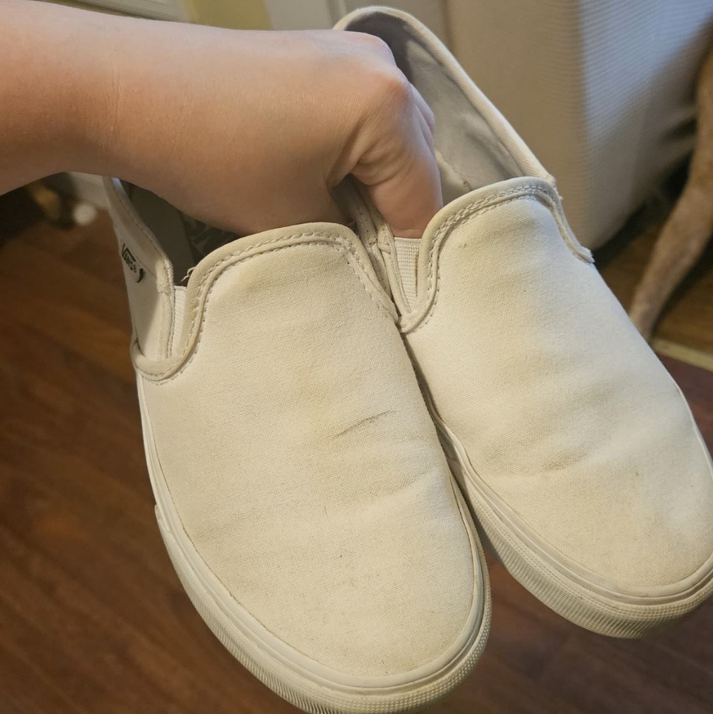 Asher Vans - image 1